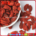 Super food goji berry dried vegetarian food goji